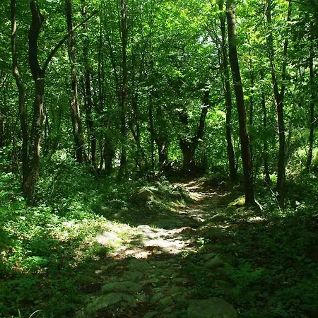 Sanpancrazio Frühstückspension 3*