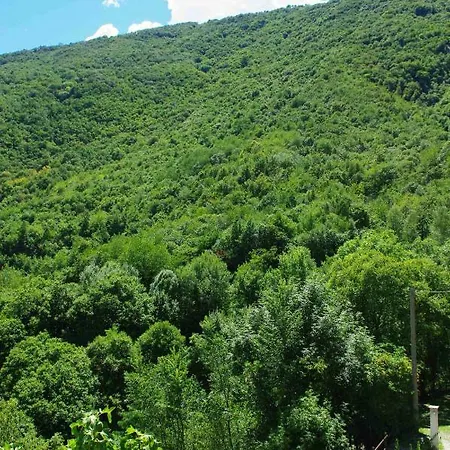 Sanpancrazio 3*