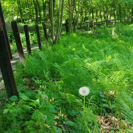 Frühstückspension Sanpancrazio